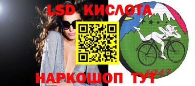 прущие грибы Донецк