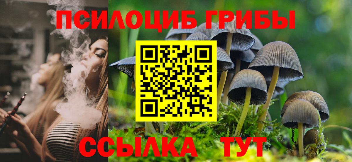 Псилоцибиновые грибы мицелий  Вход с VPN  Муравленко 